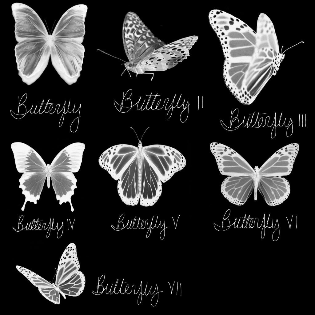 Butterfly & Tile Brushes - Free Brushes for Procreate