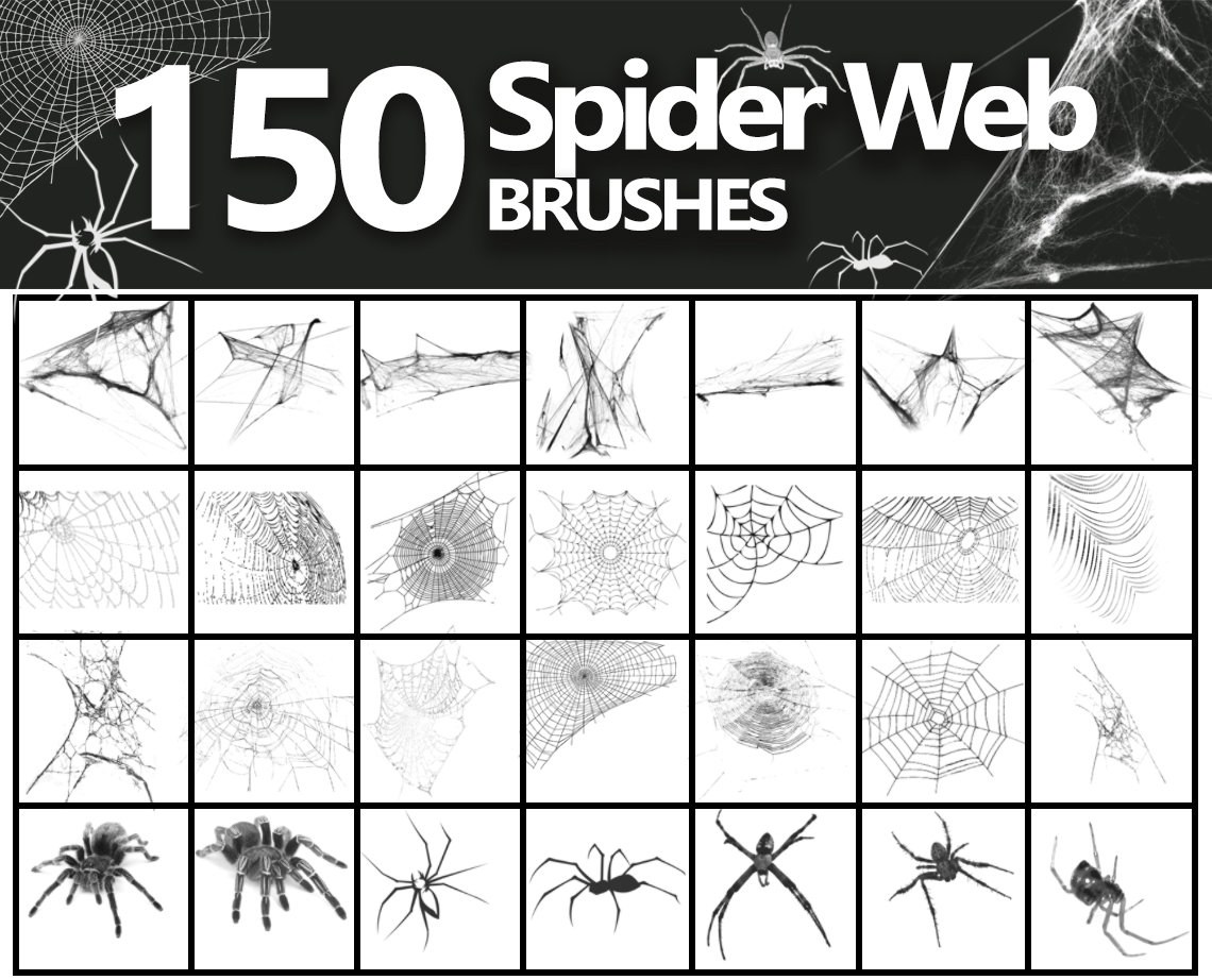 Picture of: Cobweb ABR Spider Web Brushes Spiders Photoshop Brushes – Etsy