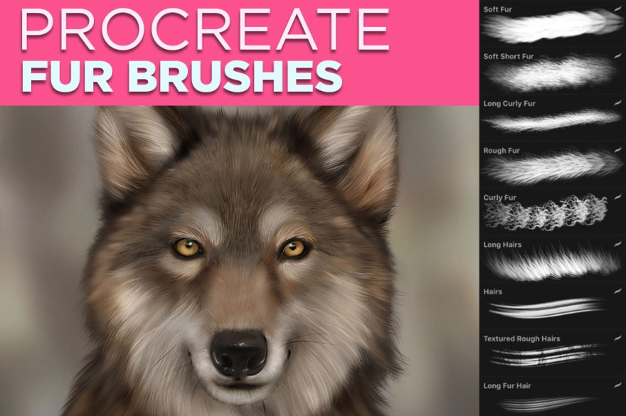 Picture of: FUR brushes for PROCREATE [Free and Premium] – BrushWarriors