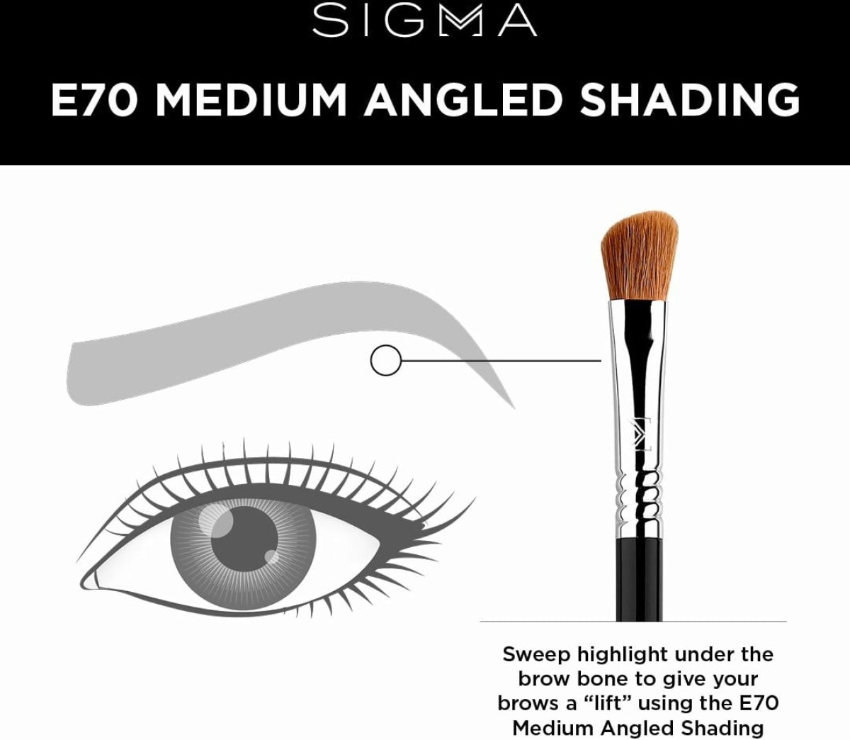 Picture of: Sigma Beauty E – Medium Angled Shading Brush – Cosmeterie