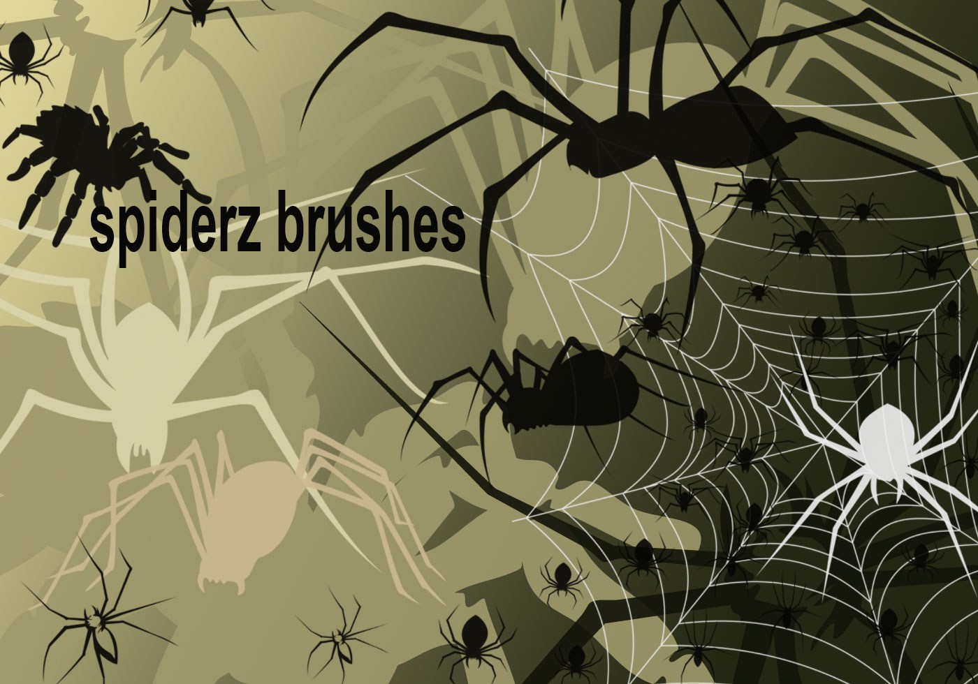 Spinnenbürsten  Free Photoshop Brushes bei Brusheezy!