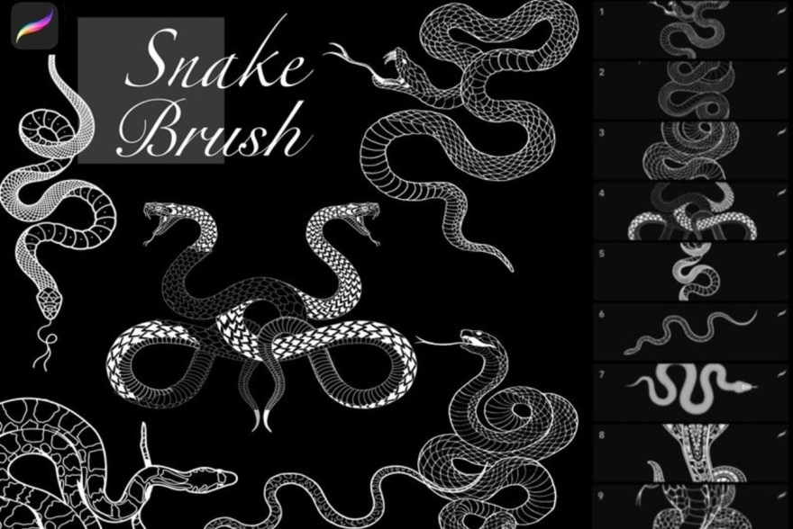 Picture of: Stamp Snake Brush