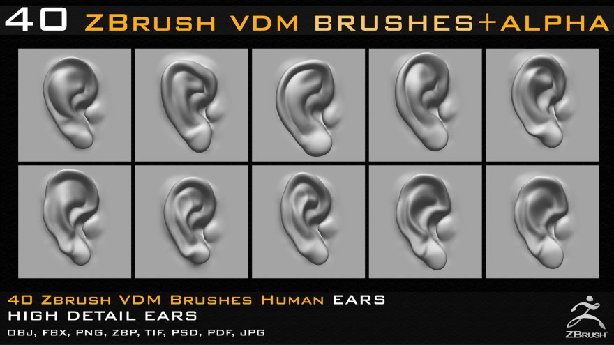 Picture of: Zbrush VDM Human Ears Brushes – FlippedNormals