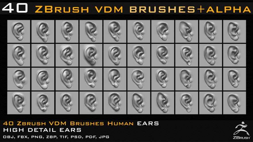 Picture of: Zbrush VDM Human Ears Brushes – FlippedNormals